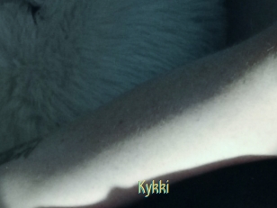 Kykki
