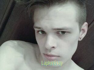 LapkinGray