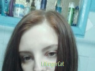 LilGingerCat