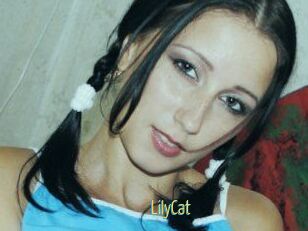 Lily_Cat_
