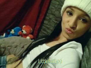 LittleKat699