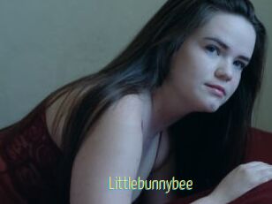 Littlebunnybee