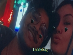Laddybug