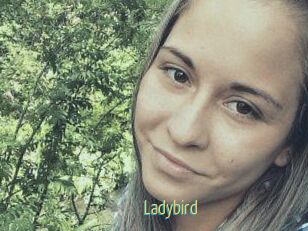 Ladybird