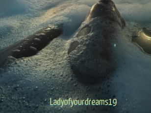 Ladyofyourdreams19