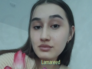 Lamareed