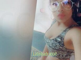 Latinbadrabbit