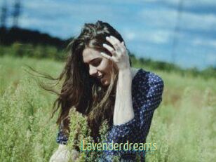 Lavenderdreams