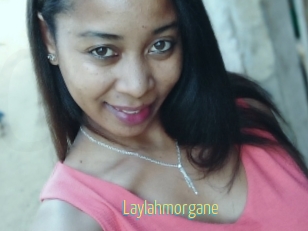 Laylahmorgane