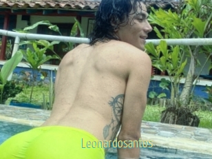 Leonardosantos
