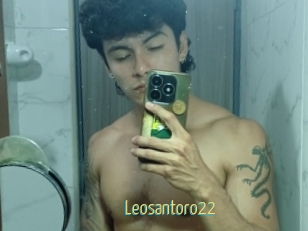 Leosantoro22