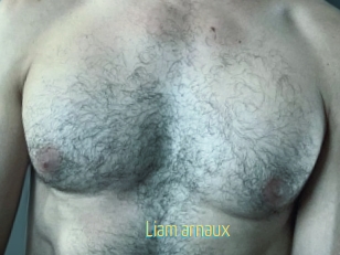 Liam_arnaux