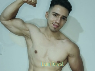 liam_forest Chaturbate Cam Sexe