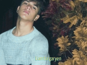 Liamtargaryen