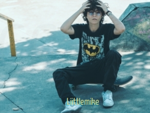 Liittlemike