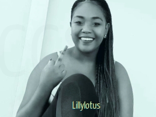 Lillylotus