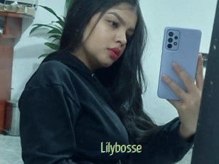 Lilybosse