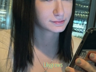 Lilygrows