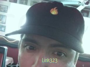 Link323
