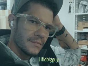Litlebigguy