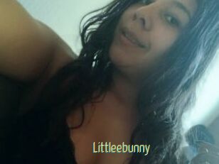 Littleebunny