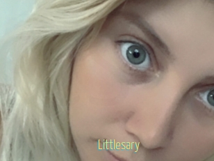 littlesary Chaturbate Cam Sexe