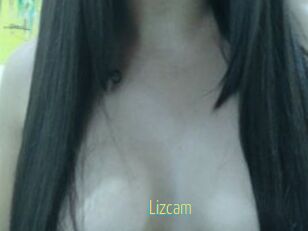 Lizcam