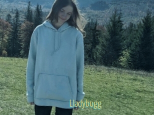 Lladybugg