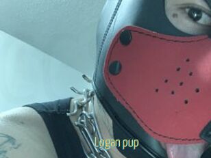Logan_pup