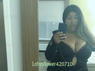 Lotusflower420710