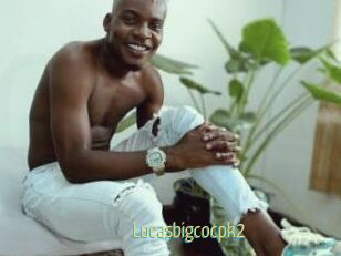 Lucasbigcocpk2