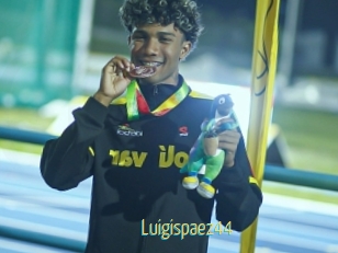 Luigispaez44
