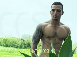 MATIUS_COSLINK