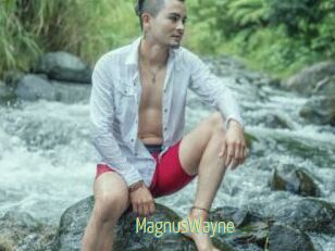 MagnusWayne