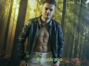 MarcusAranjo