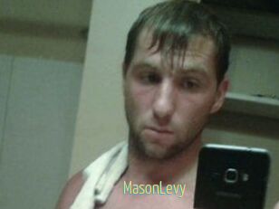Mason_Levy