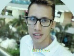 MateoHawk