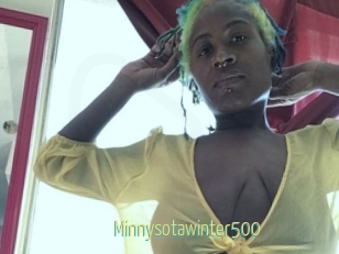 Minnysotawinter500