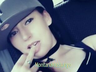 MontanaMustange