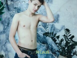 MrCavalli