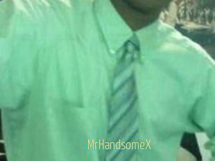 MrHandsomeX