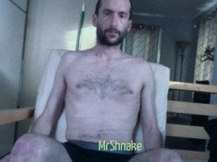 MrShnake