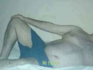 Mr_Hobbs