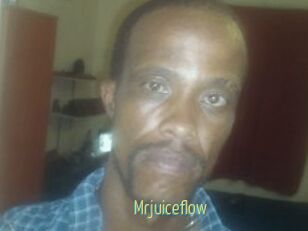 Mrjuiceflow