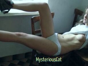 MysteriousCat