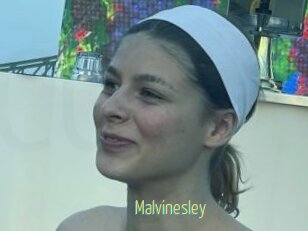 Malvinesley