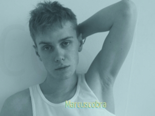 Marcuscobra