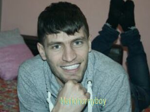 Mariohornyboy