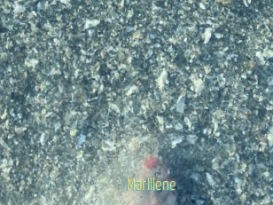 Marlllene