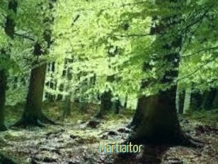 Martiaitor